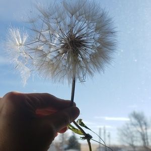 Meet your Posher, Dianne